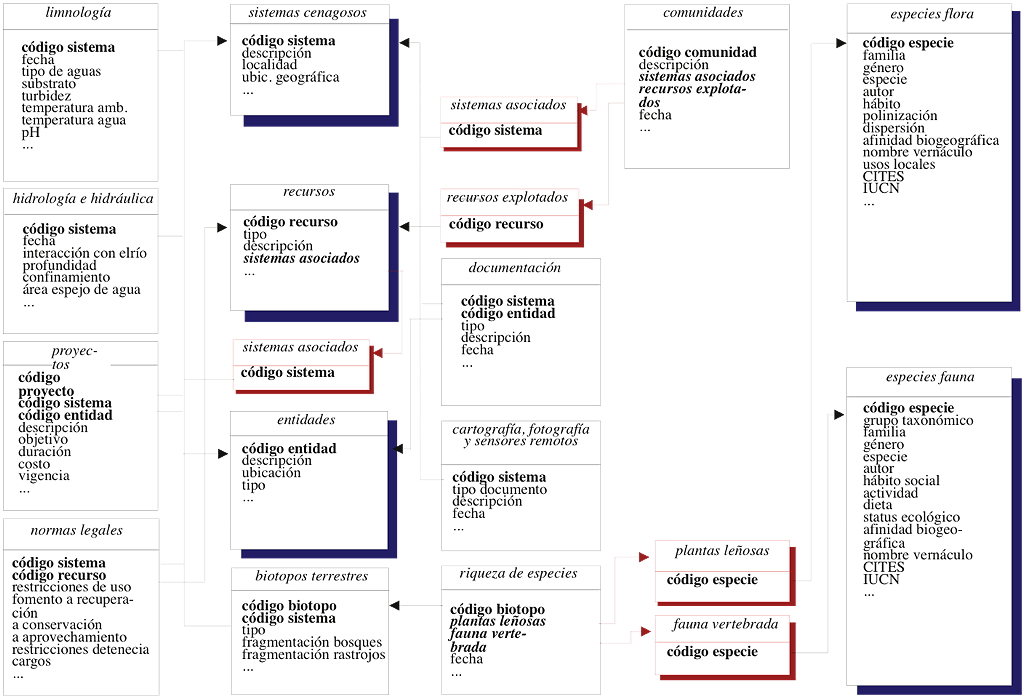 Fig 1 Vision Panzenu web.jpg