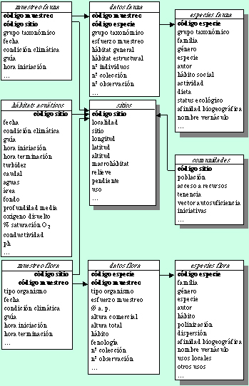 Estructura Diversidata.jpg