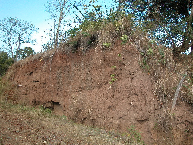 Archivo:26 talud en corte de via ca arroyo Tucuy.jpg