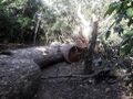 2019-05-06 at 16.50.07.jpeg