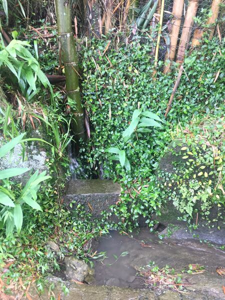 Archivo:Rebose de alcantarilla en creciente, aguas negras sobre via IMG 0133.JPG