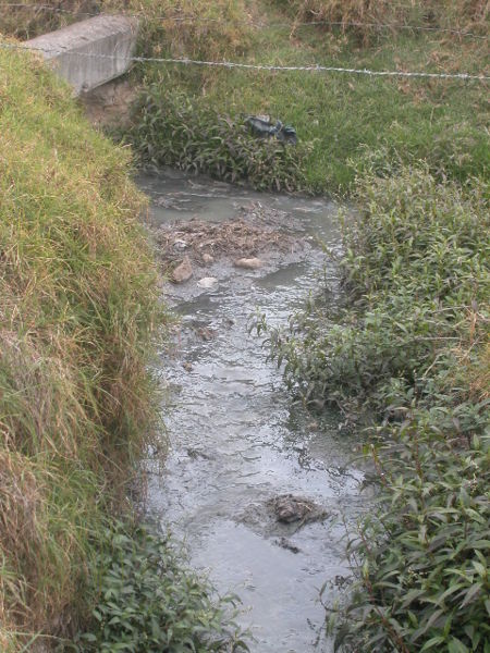 Archivo:14 Neotrópicos La Picota aguas negras.jpg