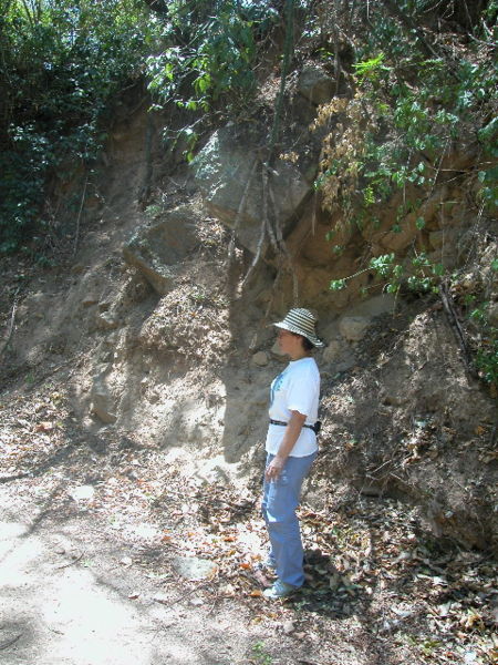 Archivo:127 S Franco, talud de via margen derecha arroyo Tocuy.jpg
