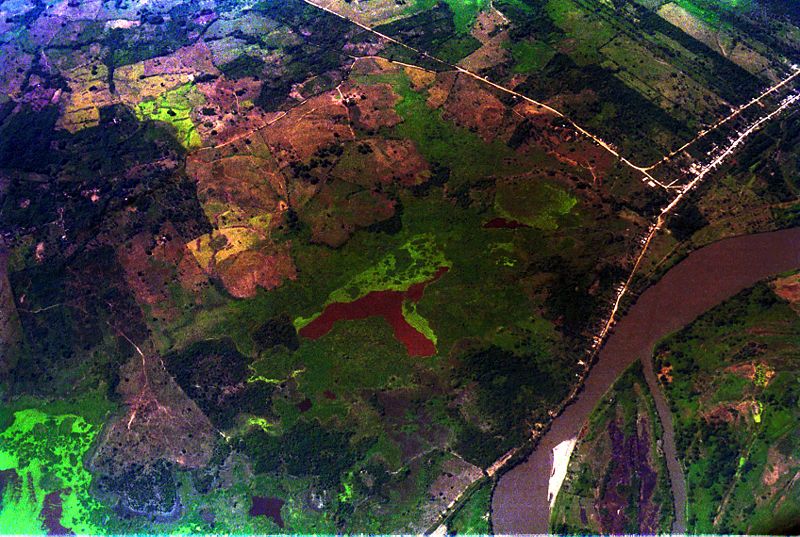 Archivo:Las Flores aerea.jpg