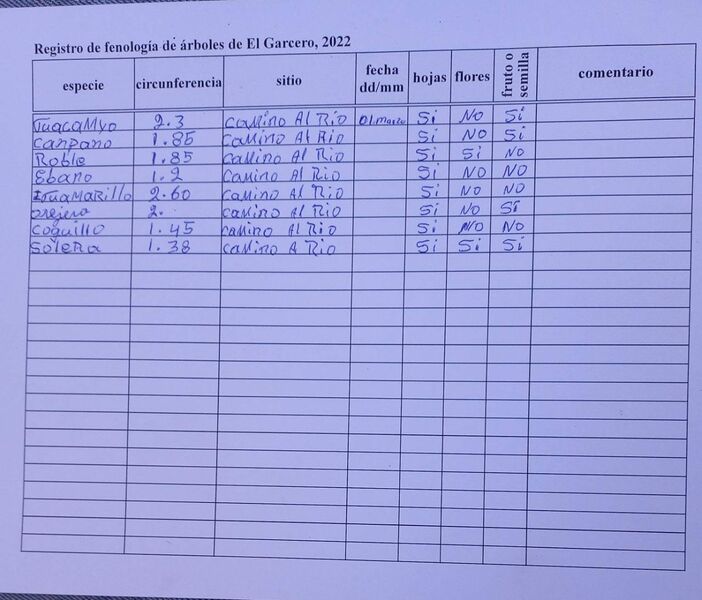 Archivo:Fenologia arboles 010322.jpeg