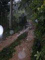 Miniatura de la versión del 02:23 2 sep 2019