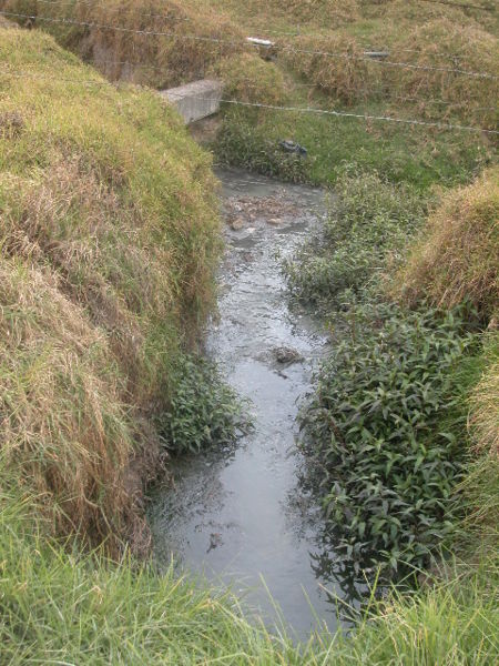 Archivo:15 Neotrópicos La Picota aguas negras.jpg